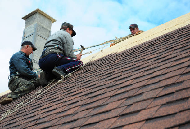 Best Shingle Roofing Installation  in Williamstown, KY