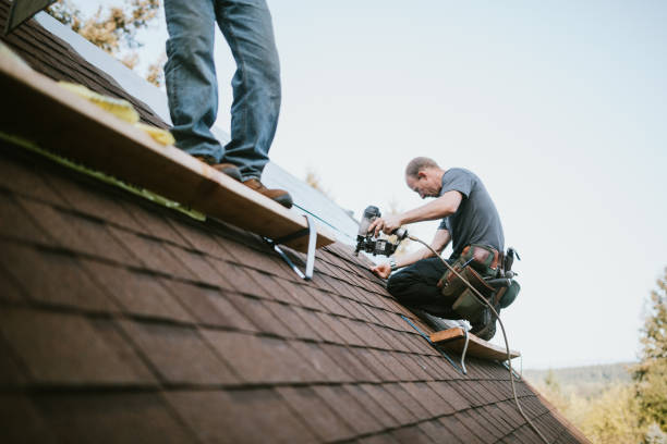 Best Storm Damage Roof Repair  in Williamstown, KY
