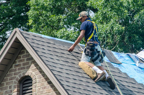 Best Roof Replacement Cost  in Williamstown, KY